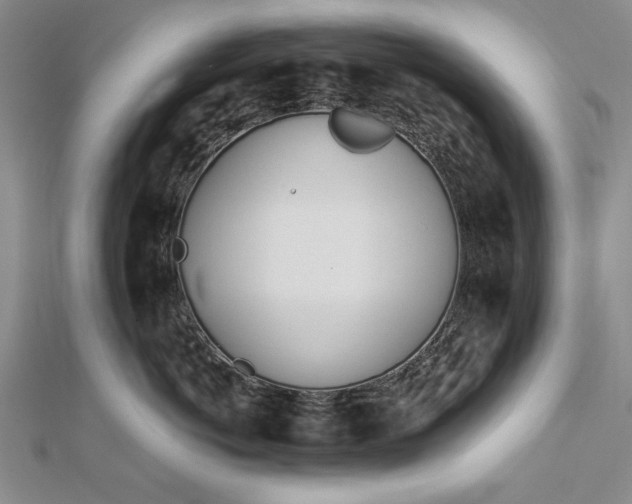 X0000112740766200909031506