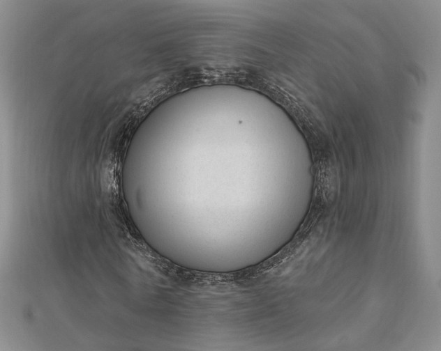 X0000112740770200909031505