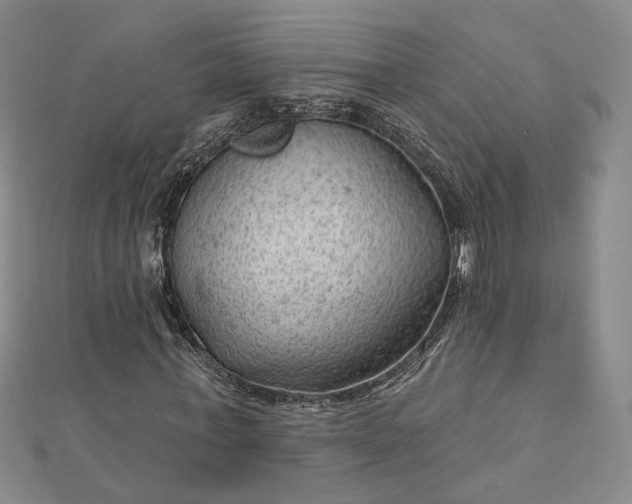 X0000112740771200909031505