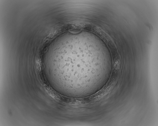 X0000112740772200909031505