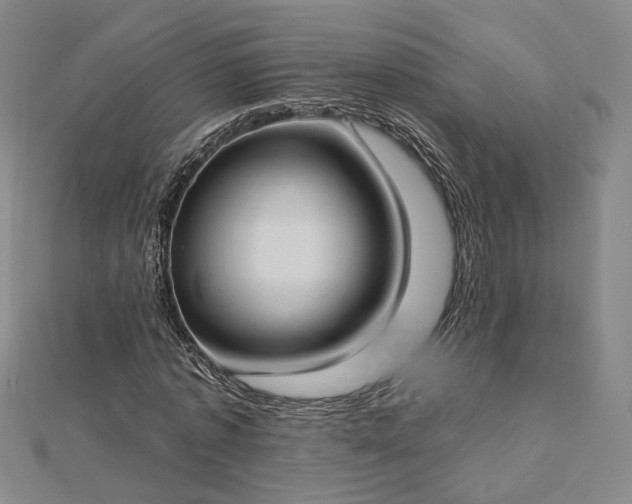 X0000112740773200909031505