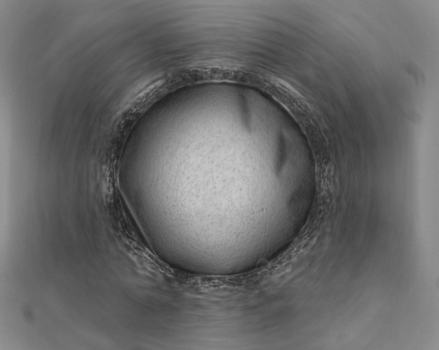 X0000112740774200909031505