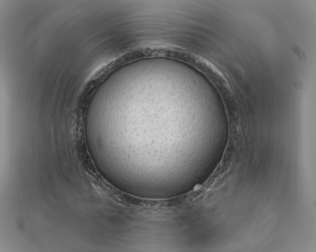 X0000112740775200909031505