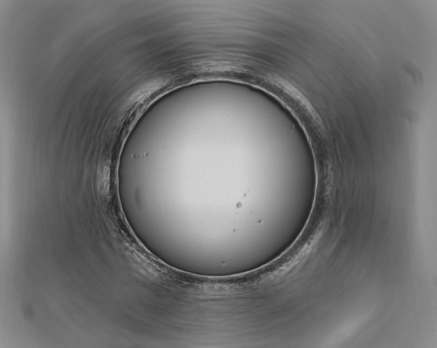 X0000112740777200909031505