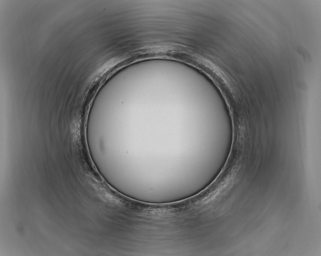 X0000112740778200909031505