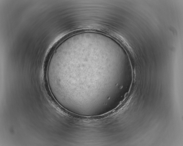 X0000112740780200909031505