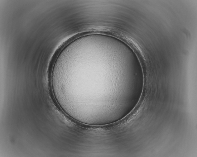 X0000112740784200909031505