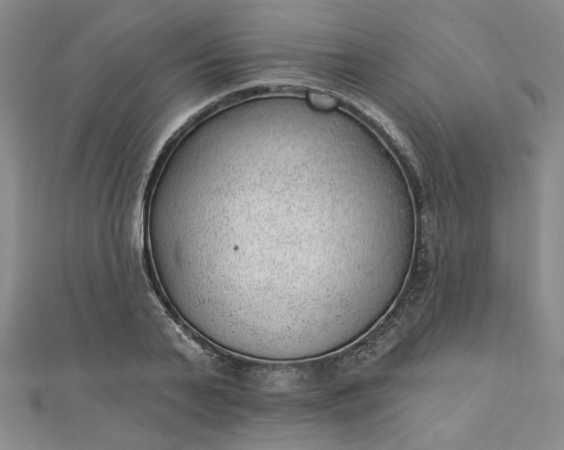 X0000112740791200909031505