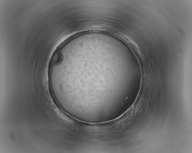 X0000112740792200909031505