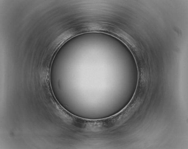 X0000112740793200909031505