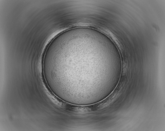 X0000112740795200909031505