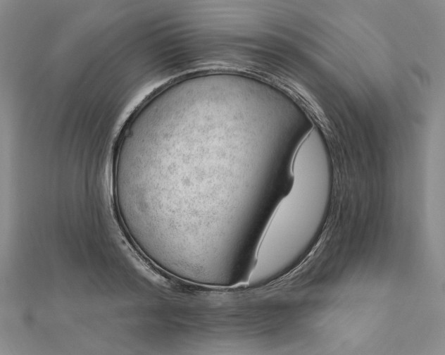 X0000112740796200909031505