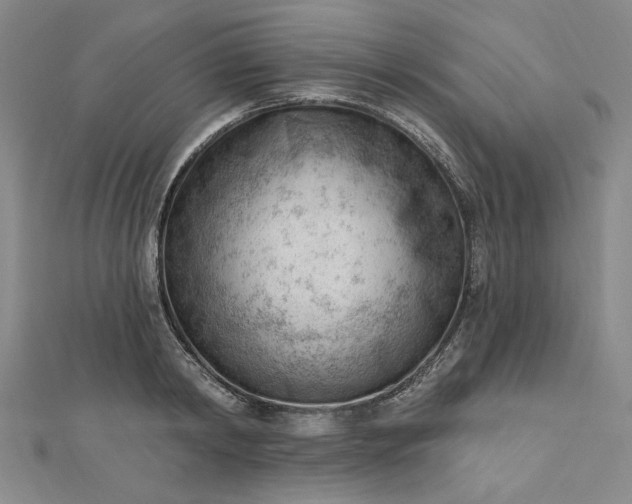 X0000112740798200909031505