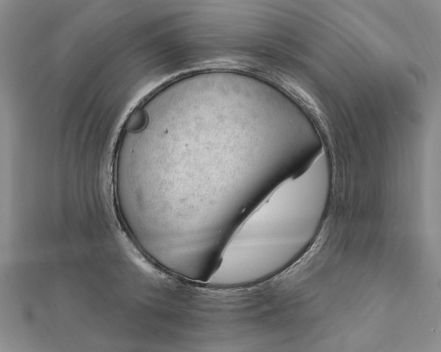 X0000112740800200909031505