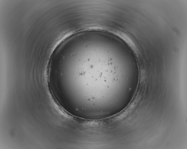 X0000112740806200909031505