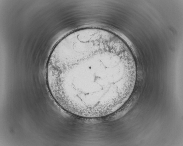 X0000112740807200909031505