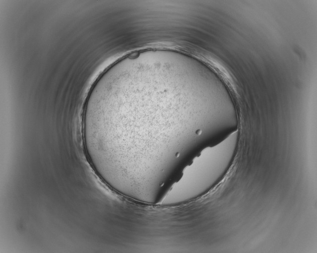 X0000112740808200909031505