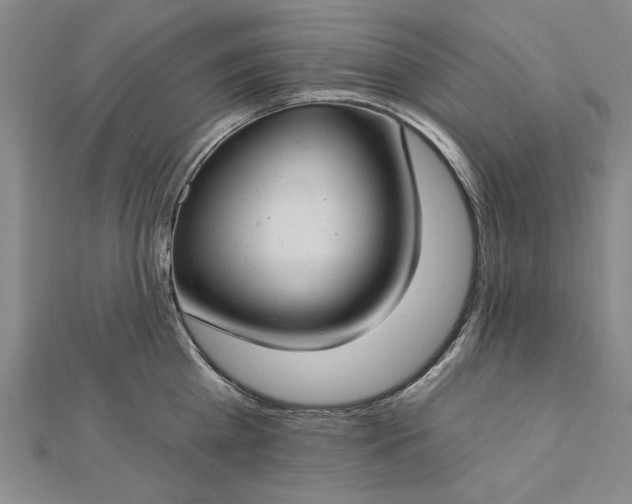 X0000112740809200909031505