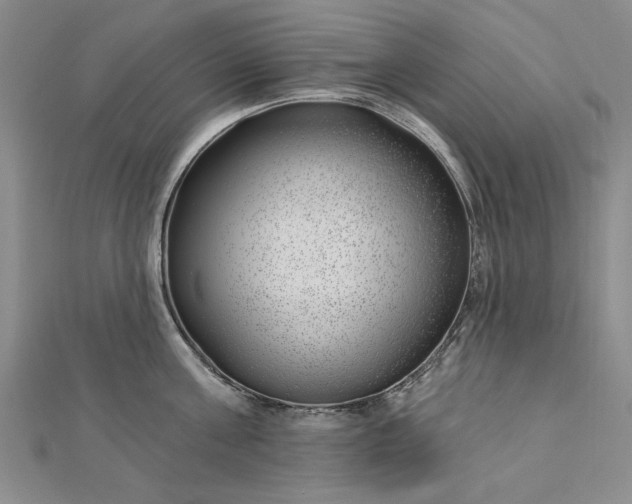 X0000112740811200909031505