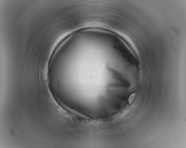 X0000112740815200909031505