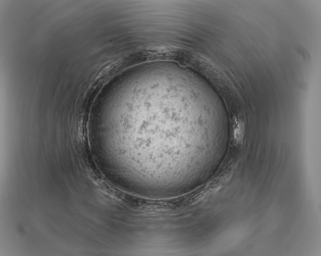 X0000112740819200909031504