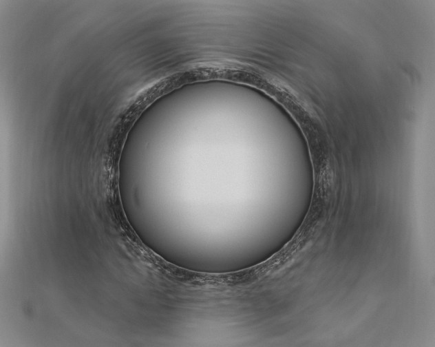 X0000112740822200909031504