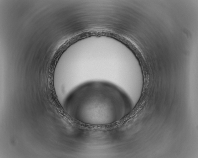 X0000112740823200909031504