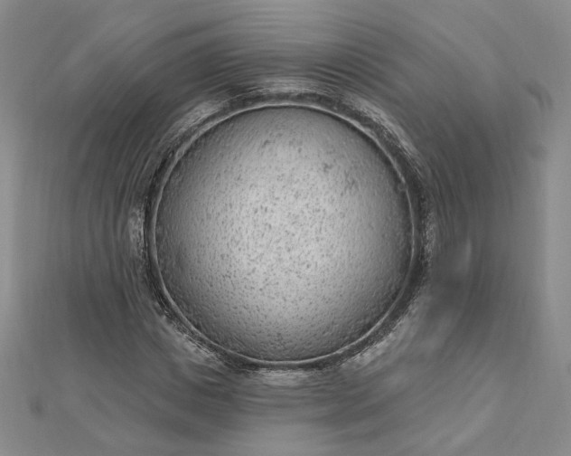 X0000112740825200909031504