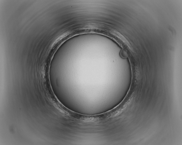 X0000112740826200909031504