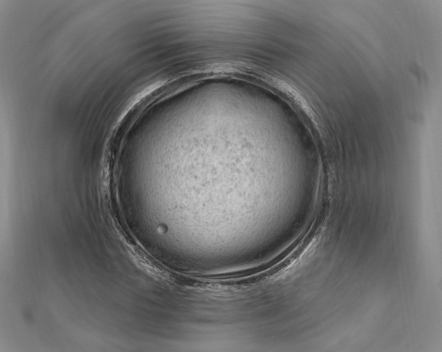 X0000112740827200909031504