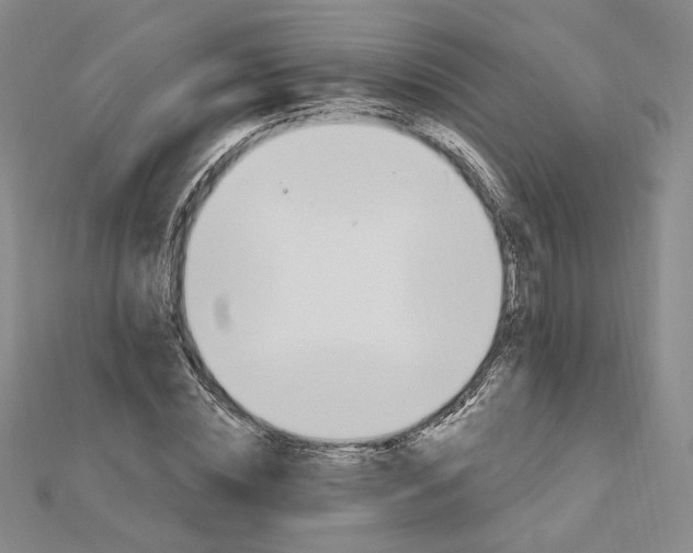 X0000112740828200909031504