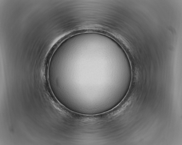 X0000112740830200909031504