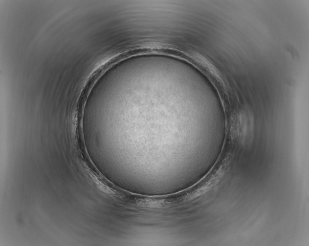 X0000112740831200909031504