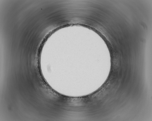 X0000112740832200909031504