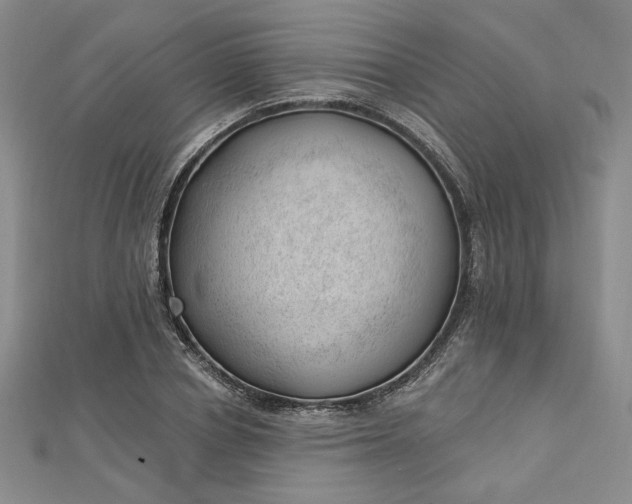 X0000112740834200909031504