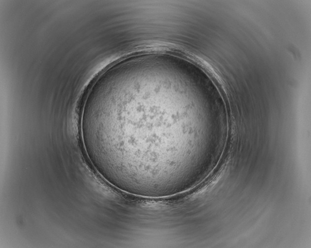 X0000112740835200909031504