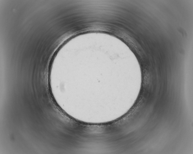 X0000112740836200909031504