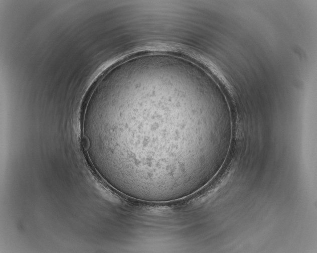 X0000112740837200909031504