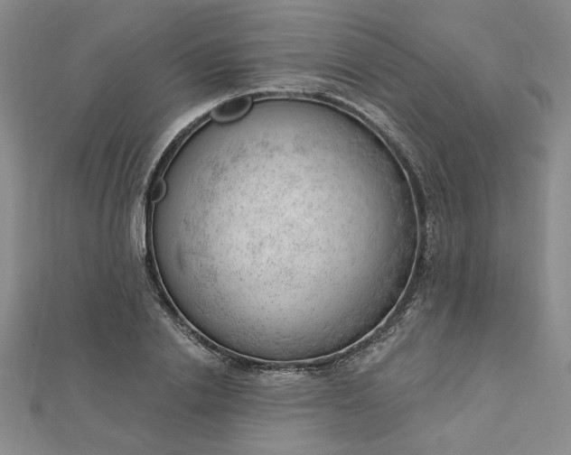 X0000112740838200909031504