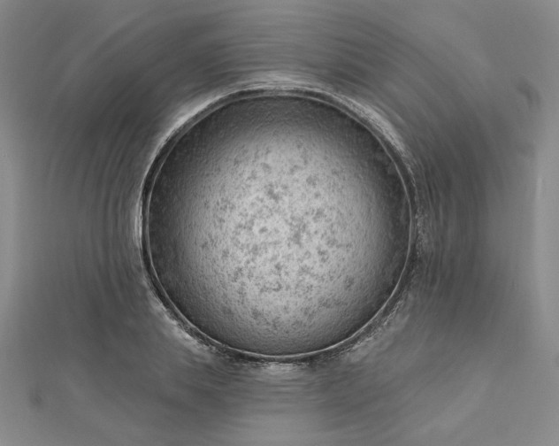 X0000112740839200909031504