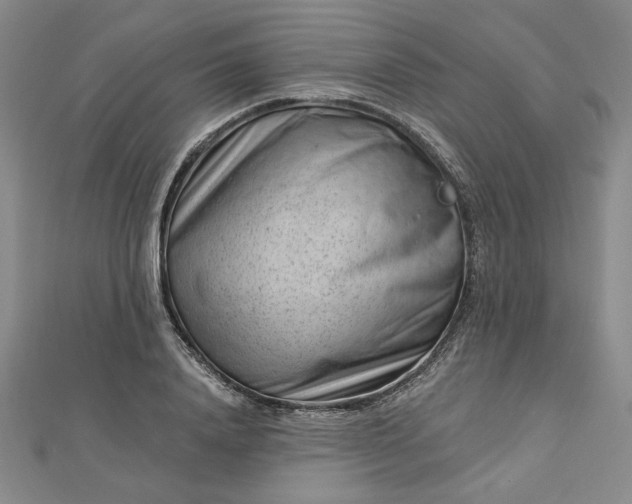 X0000112740840200909031504