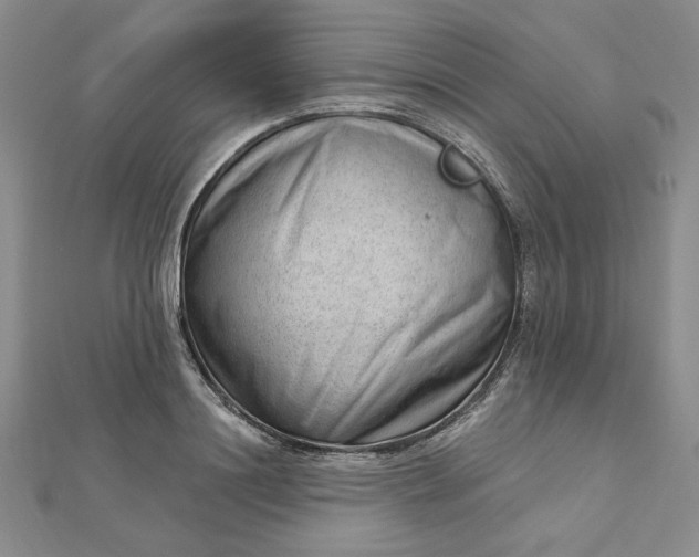 X0000112740844200909031504