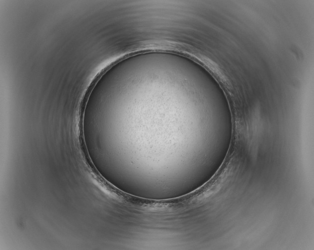 X0000112740846200909031504