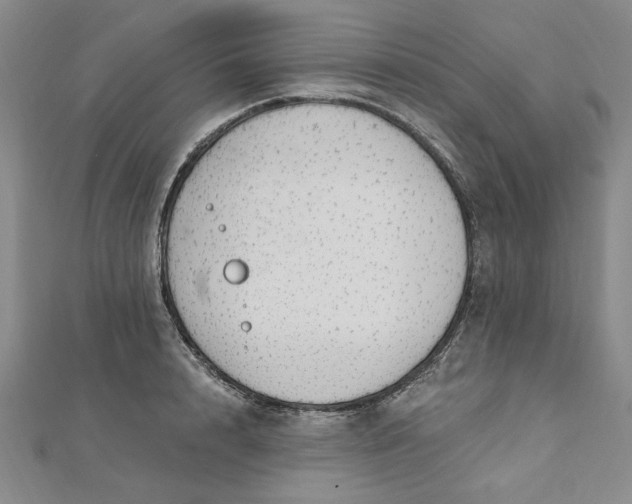 X0000112740848200909031504