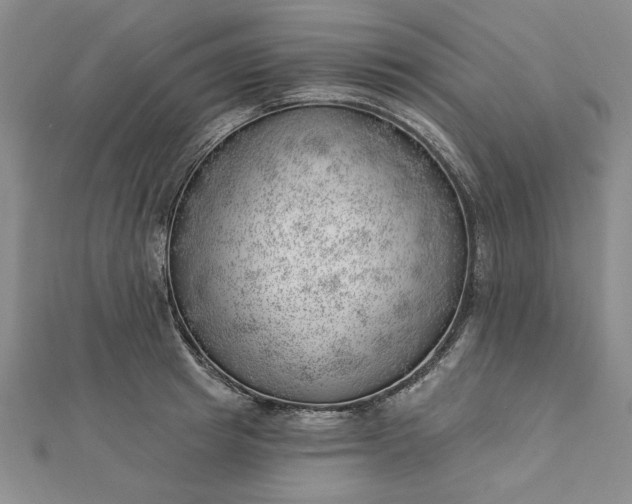 X0000112740849200909031504