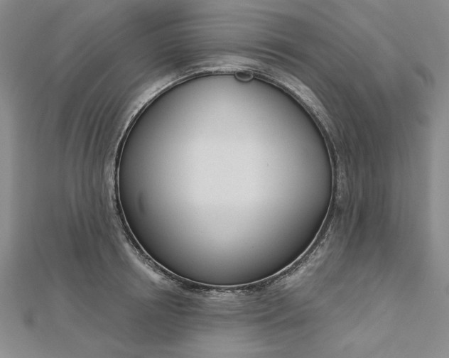 X0000112740850200909031504