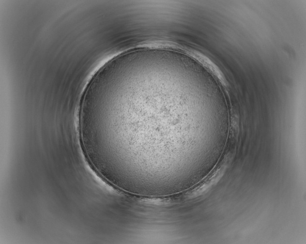 X0000112740855200909031505