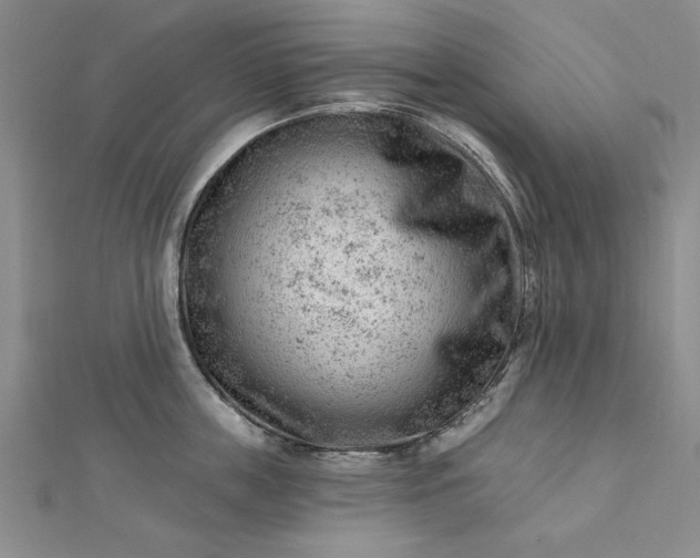 X0000112740859200909031505