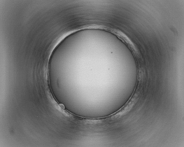 X0000112740860200909031505