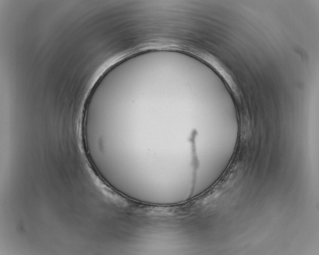 X0000112740861200909031505